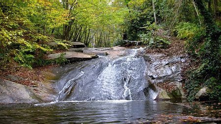 Orcau_091025a