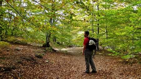 Orcau_091025b