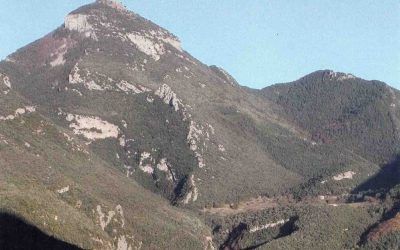 Excursió al Puig de Bassegoda