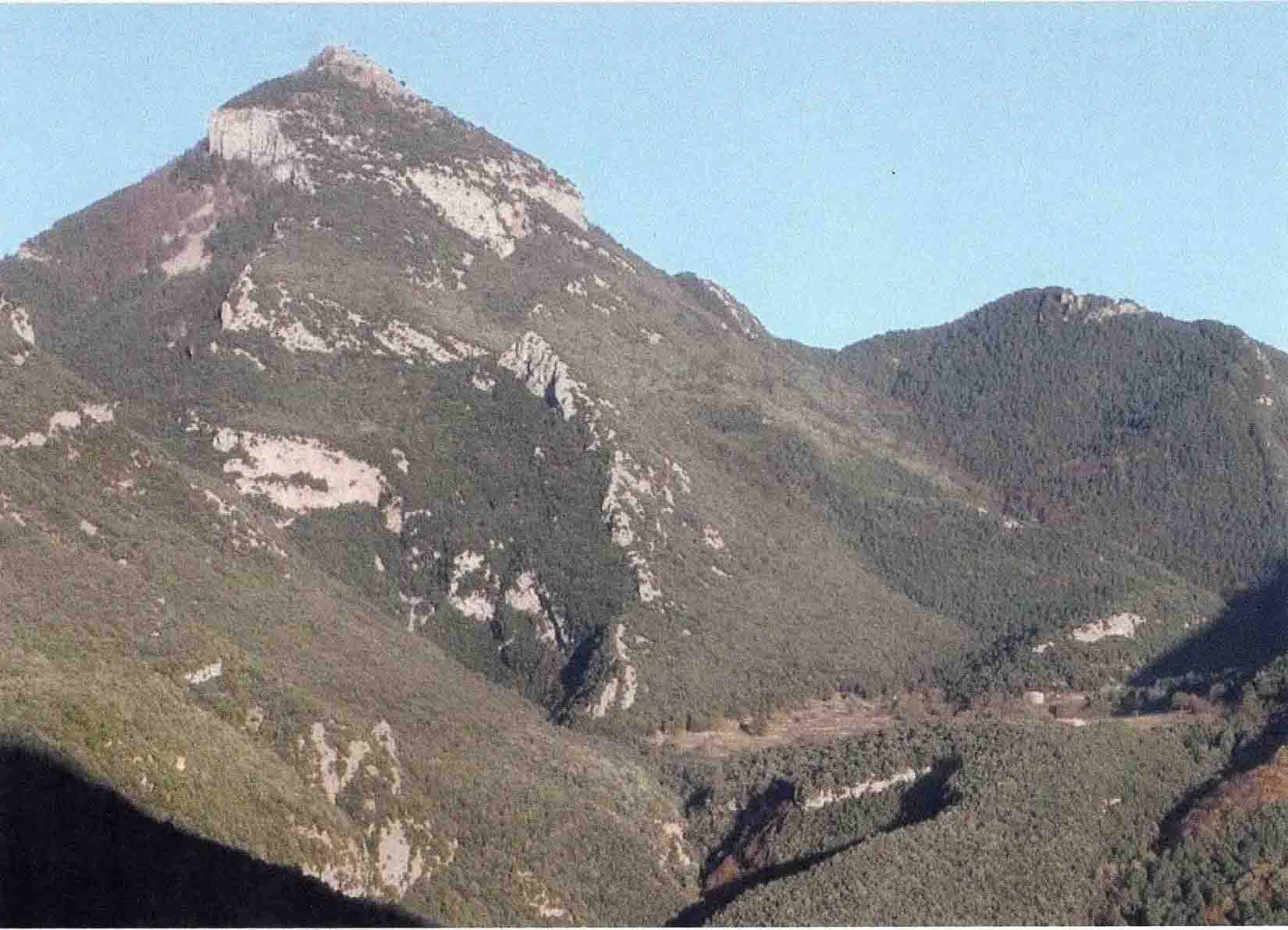 Bassagoda