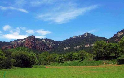 Puig del Far i Roca del Migdia (Guilleries)