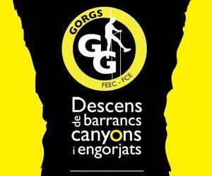 GORGS 2010