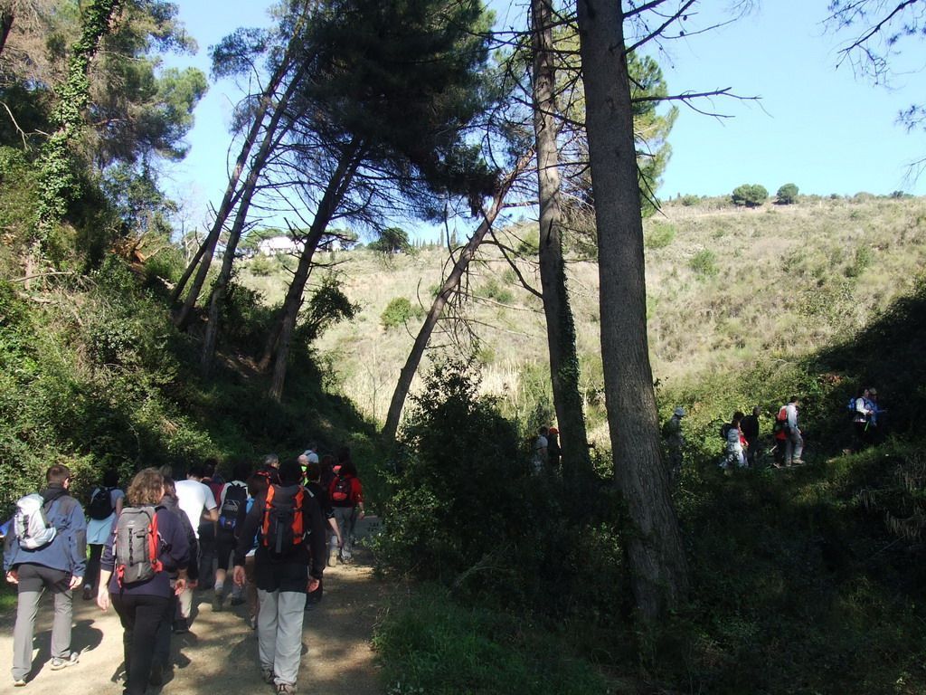 Collserola-_Cam._Solid._mar_2011_web