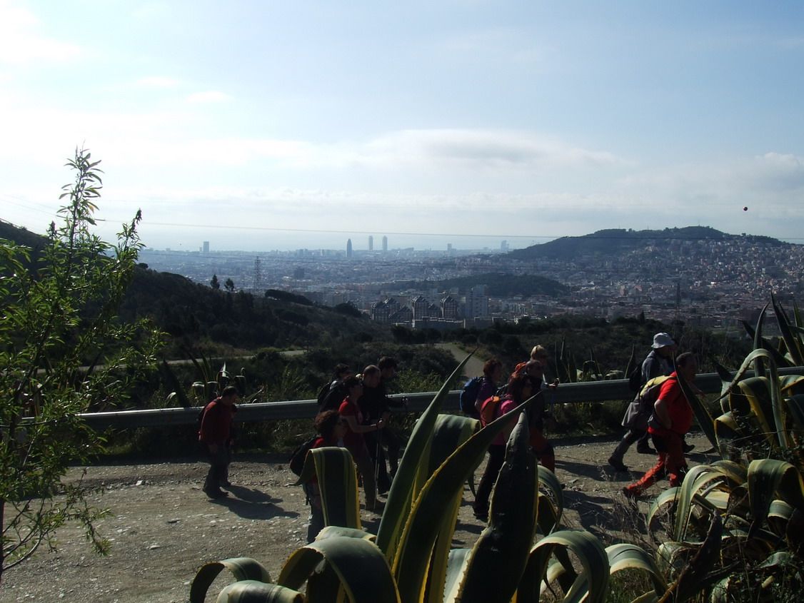 Collserola-_Cam._Solid._mar_2011_web5