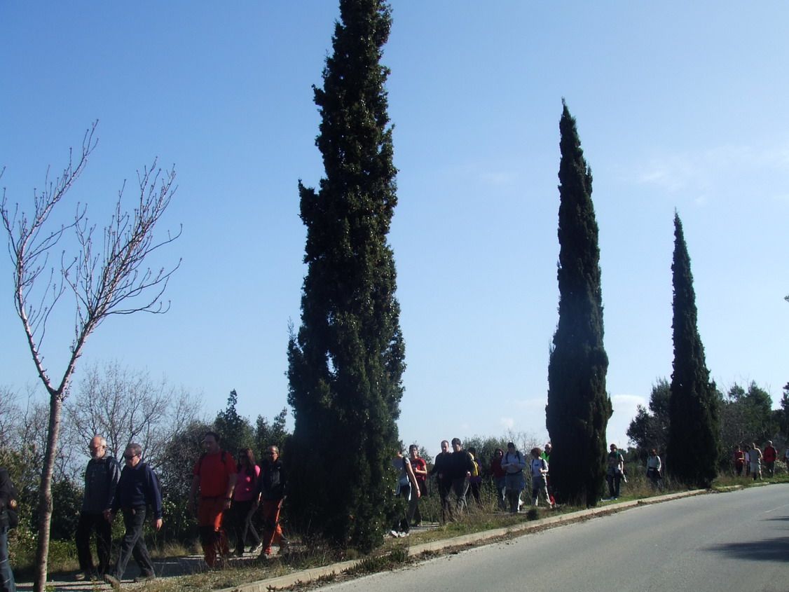 Collserola-_Cam._Solid._mar_2011_web6