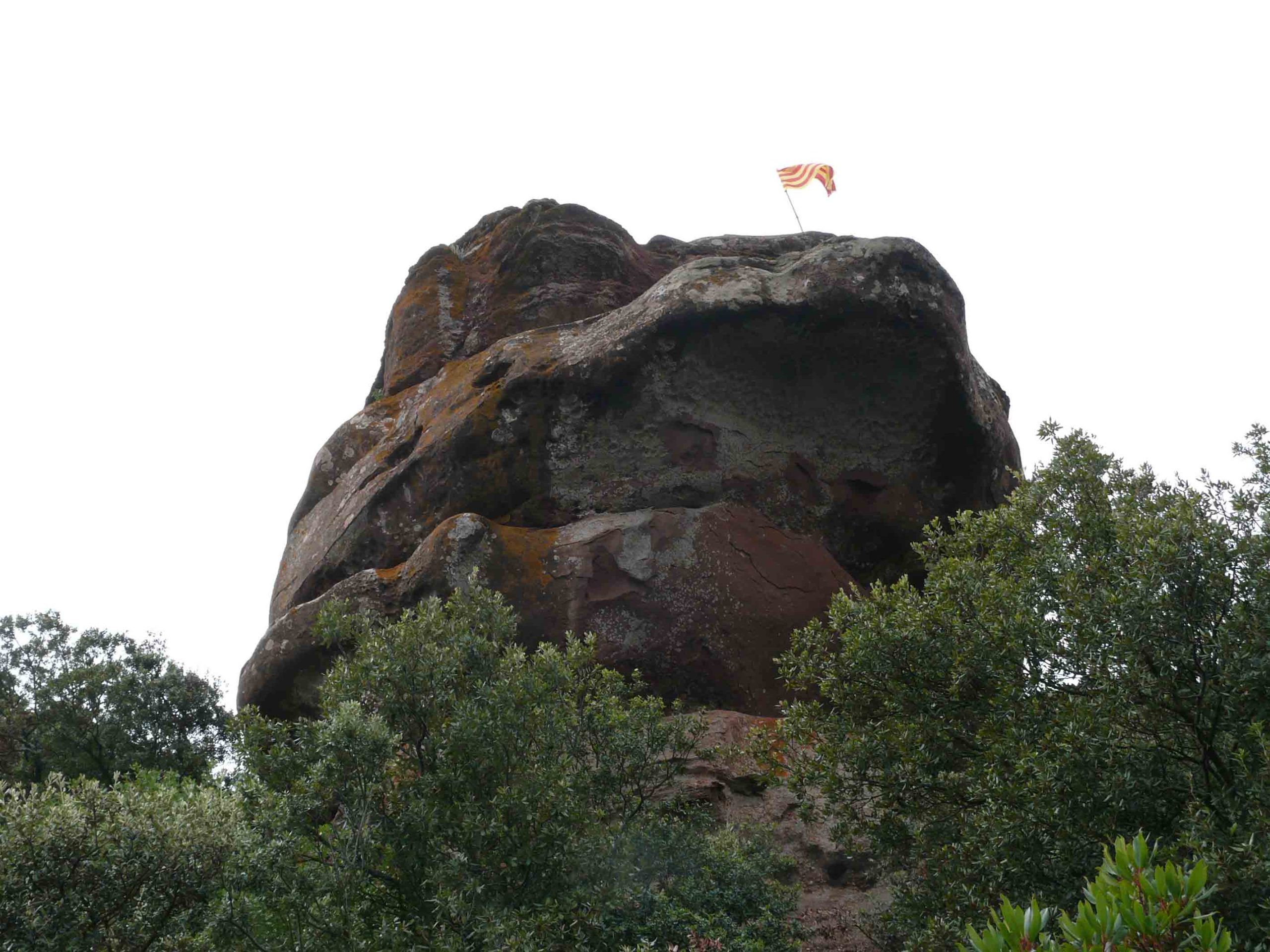 P1100118_copia