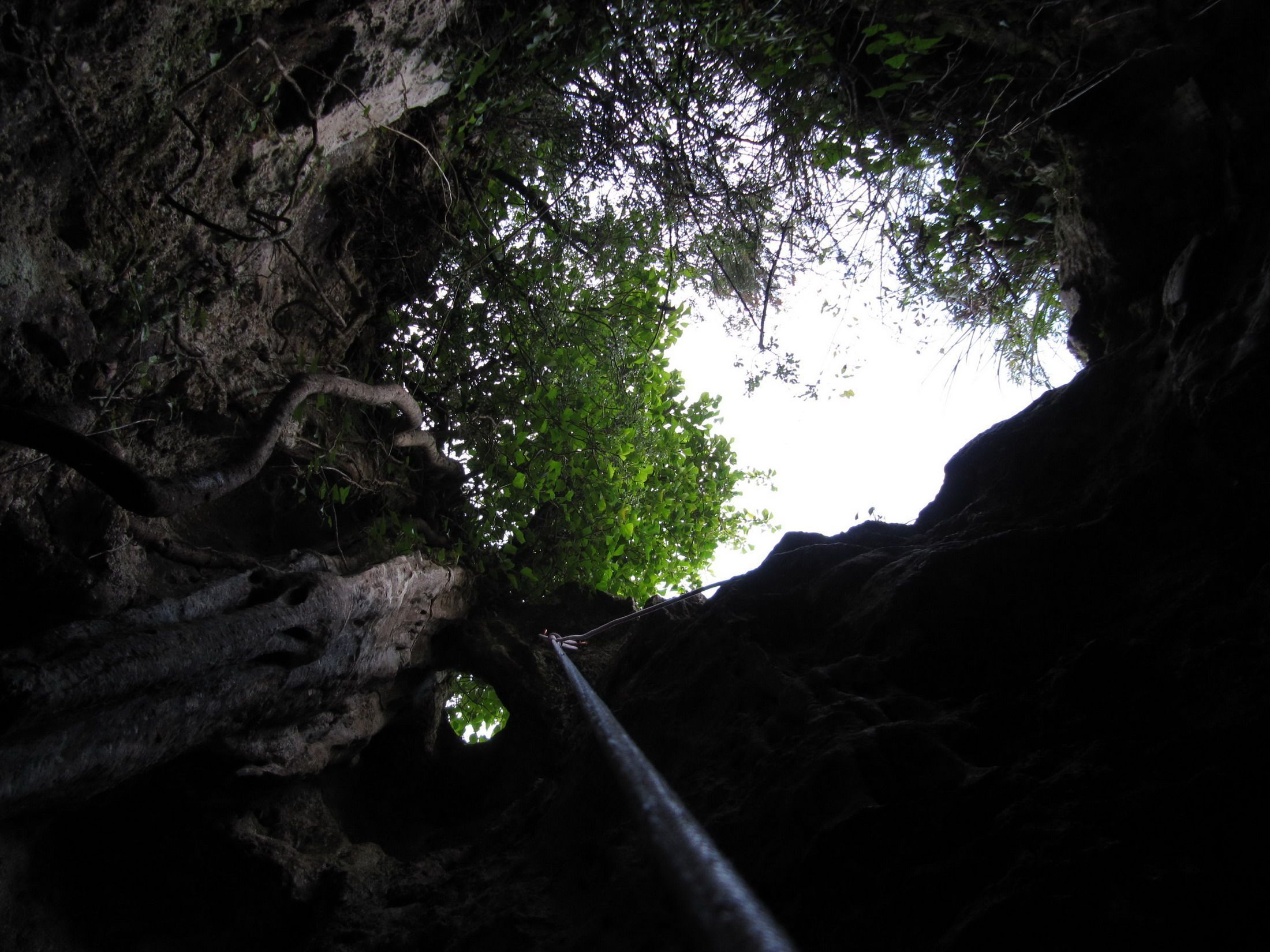 Ginebro_gener_2011