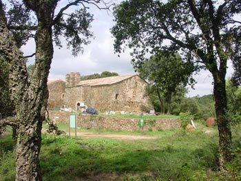 DSC07240