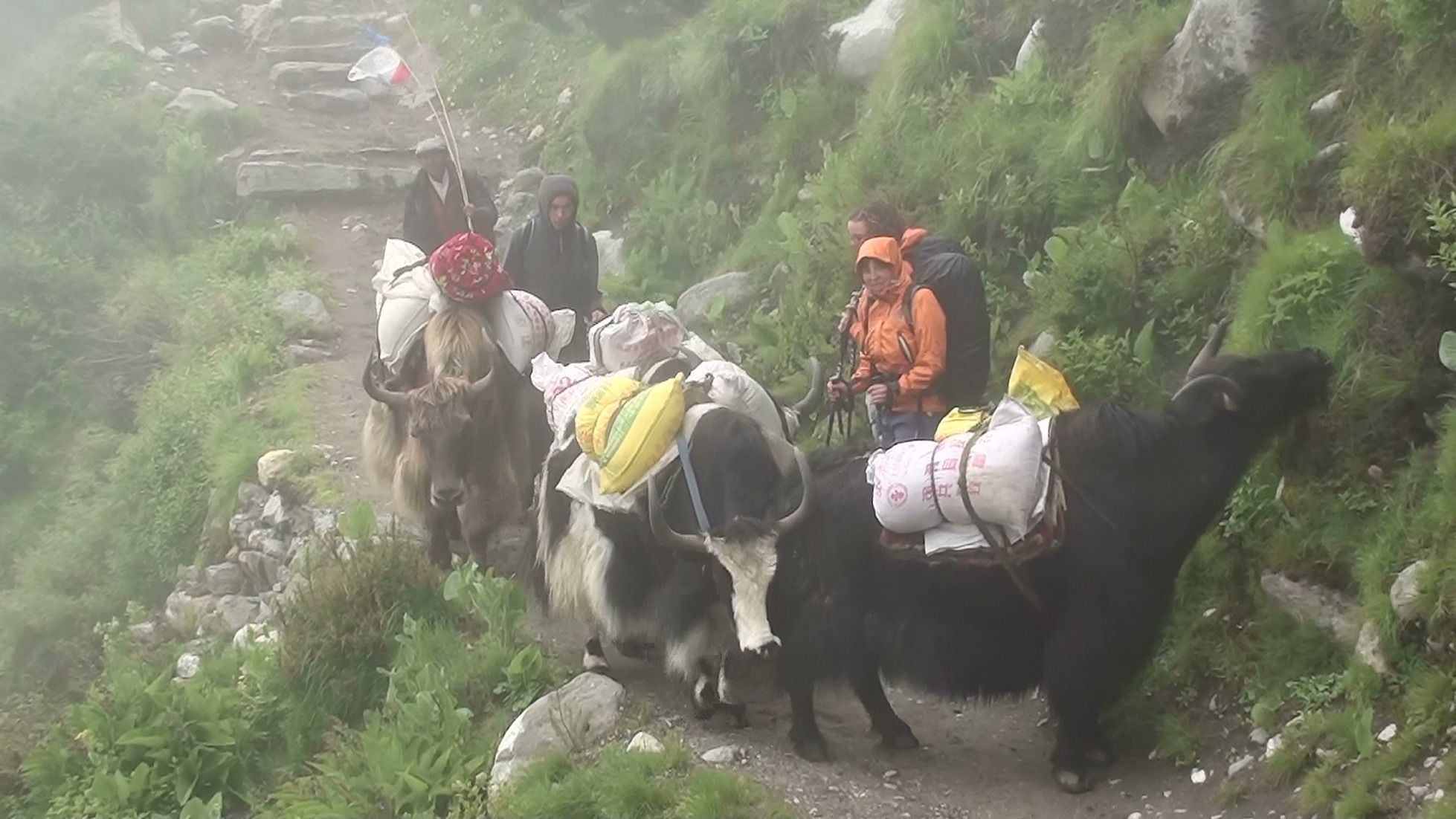 Nepal_campo_base_everest_2011_web5