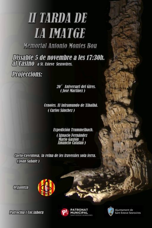 Cartell_gran_II_Tarda_de_la_Imatge