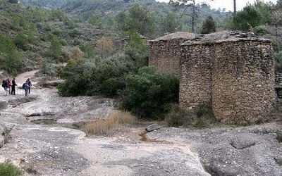 Tines del Bages