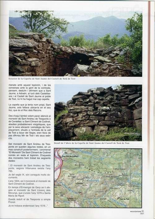 OrcauEli019
