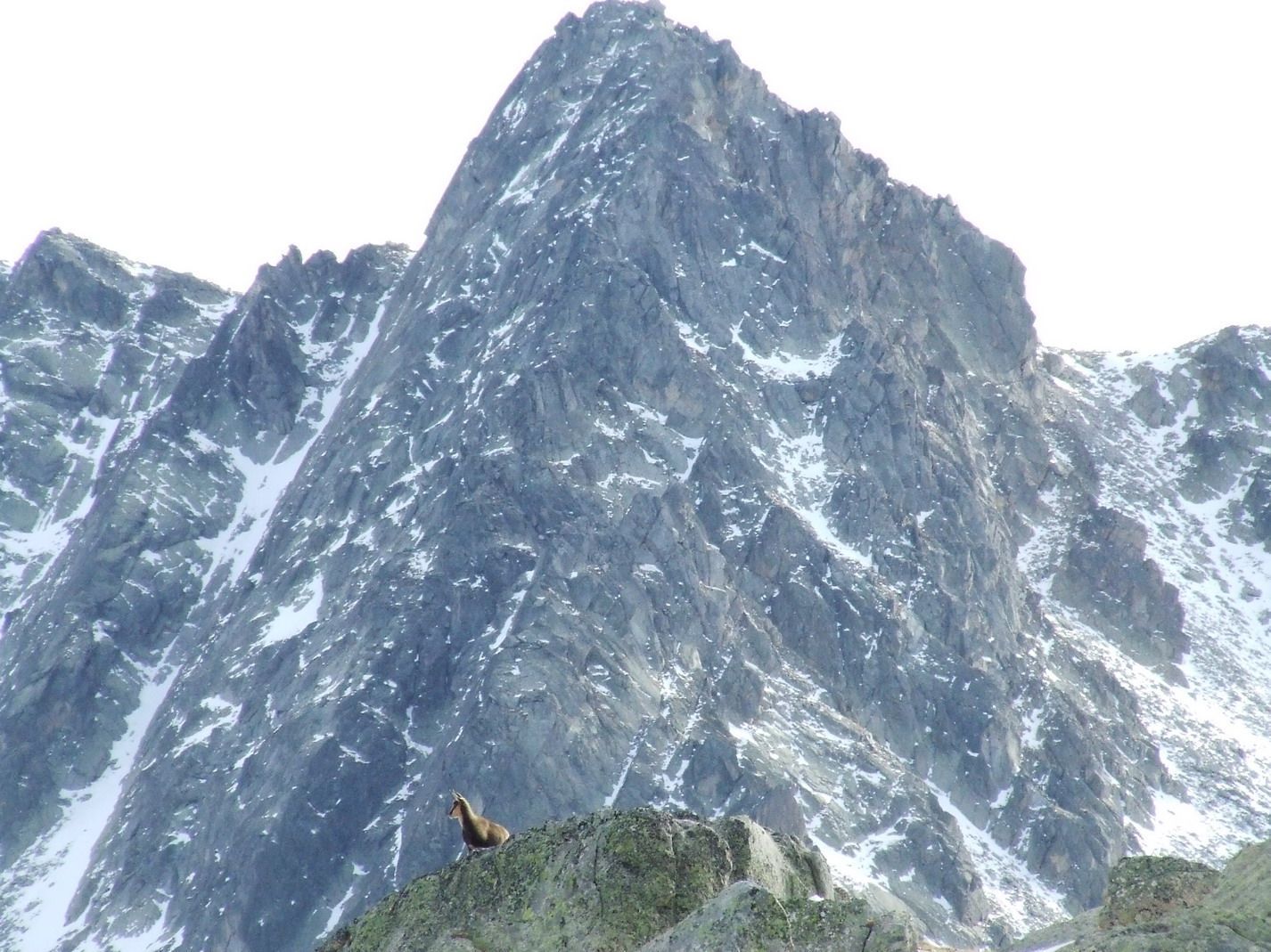 cap_dany_2012_8