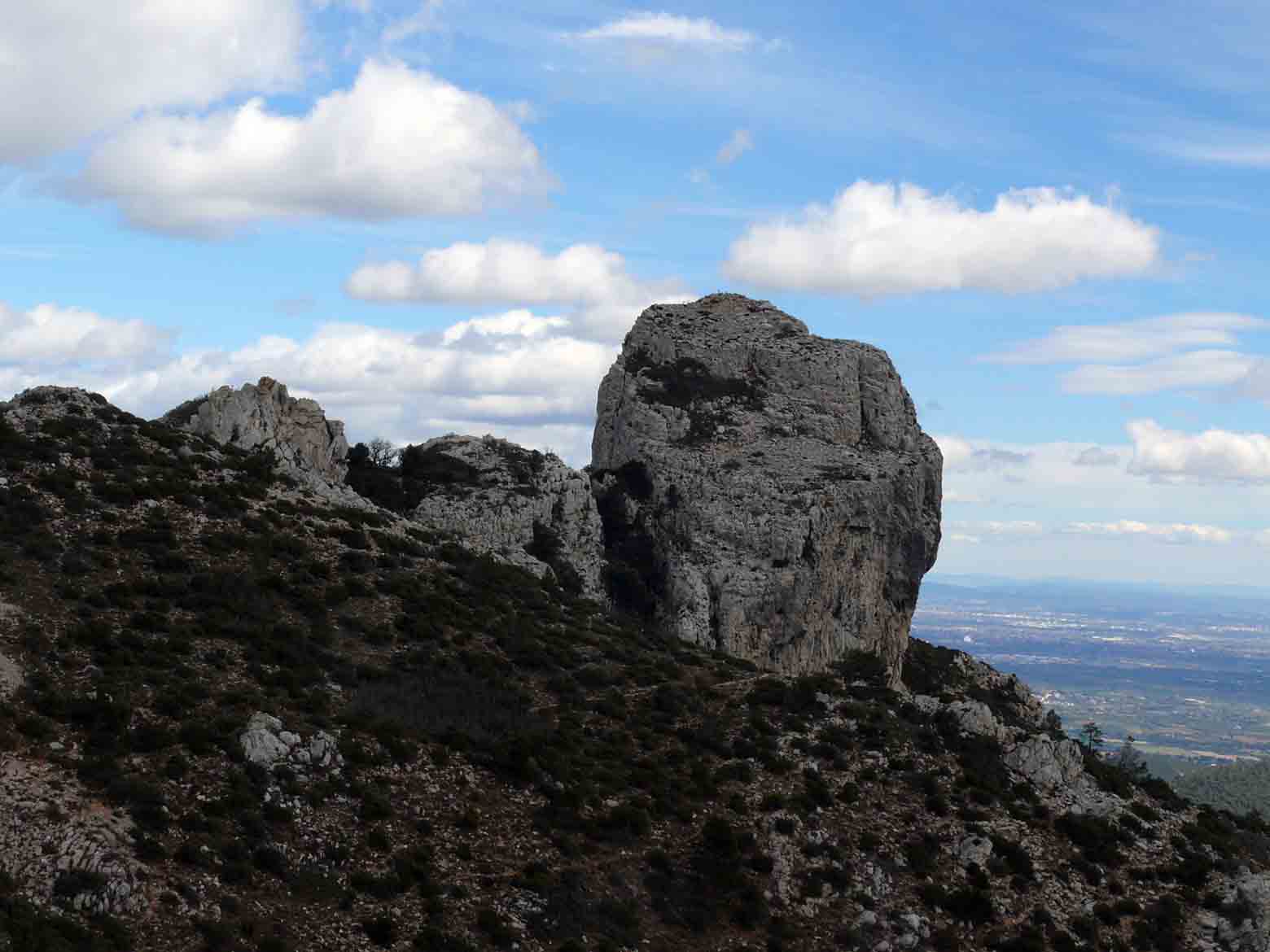 P1140660_copia