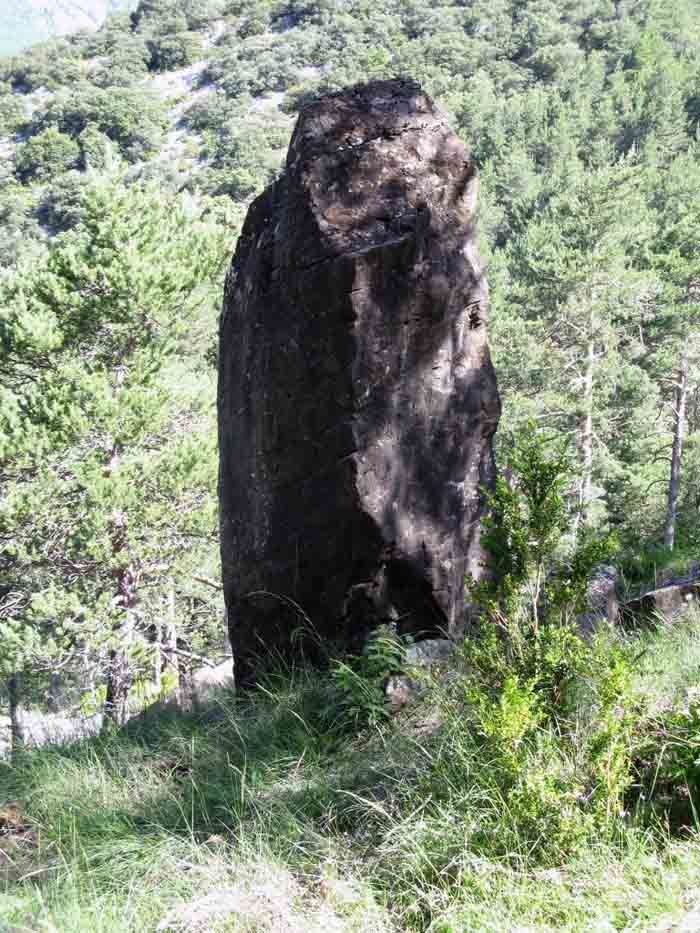Roc del Nin