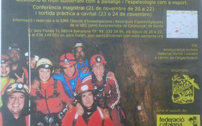 Activitats de descoberta