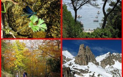 Exposició fotogràfica: «Les quatre estacions”