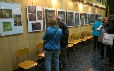 Exposició fotogàfica de Flors i Plantes.