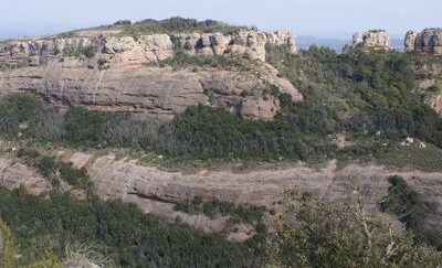Els Emprius