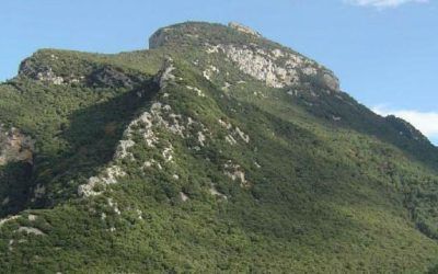 Sadernes – Bassegoda (Alta Garrotxa)