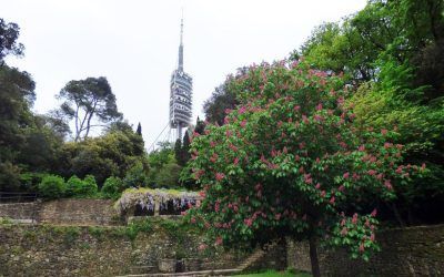 MatíMecres Collserola
