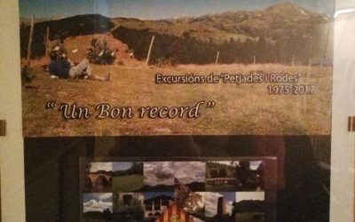 Exposició Fotogràfica