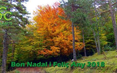 Bon nadal