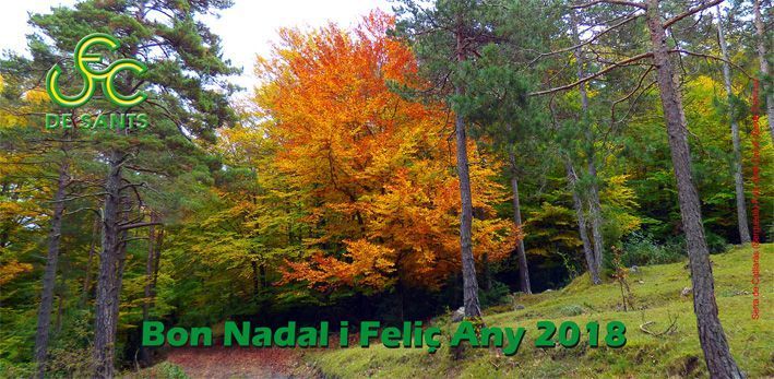 nadala_2017.jpg