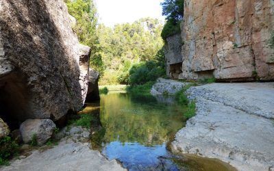 Les Fonts del Riu Brugent (Baix Camp)