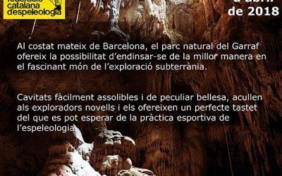 Jornades descoberta SIRE