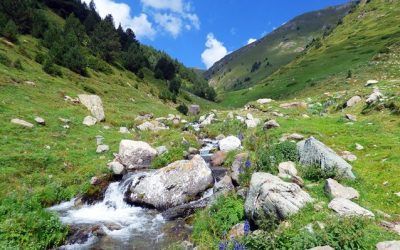 Planoles / Queralbs (Ripollès)