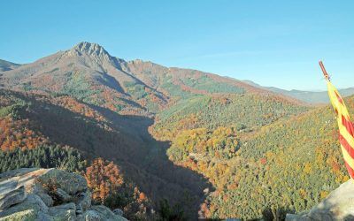 Turó de Grenys (La Selva)