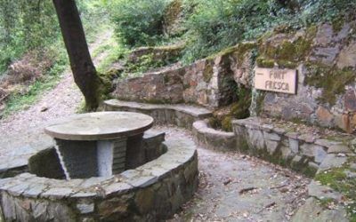 Caminada pel Vallès oriental.