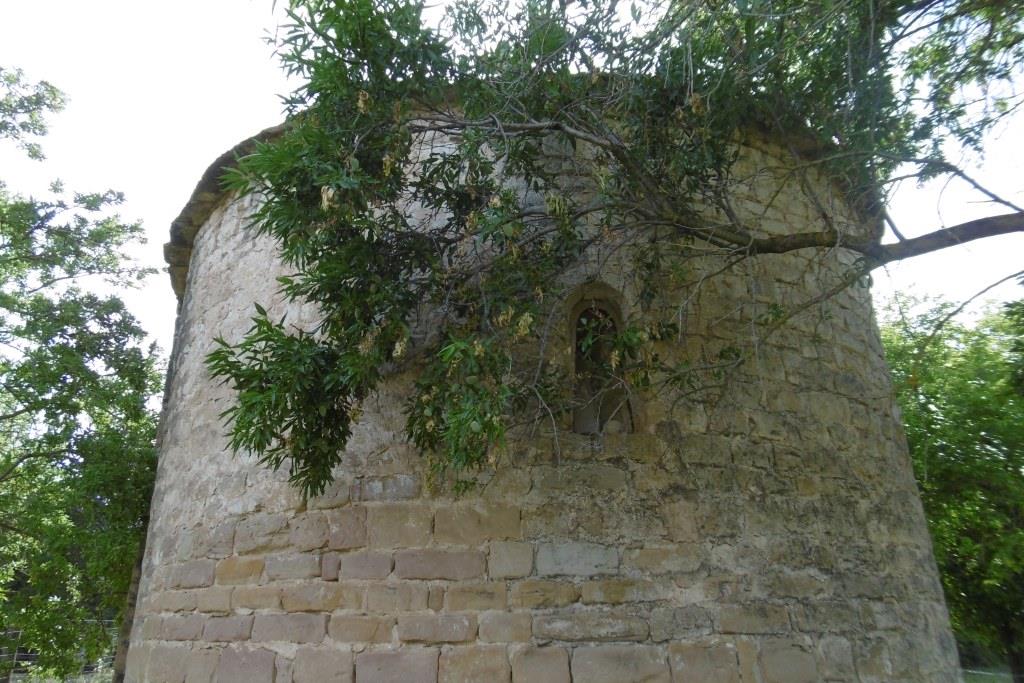 P1000954.JPG