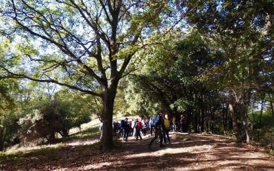 De la Vall d’Hebron a Gràcia