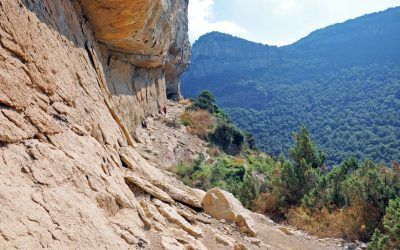 Lleixa de Balà (Osona)