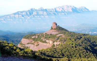 Camí Ral de Terrassa a Manresa