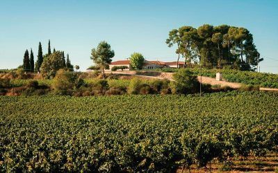 Excursió a Font Rubí (Alt Penedès)