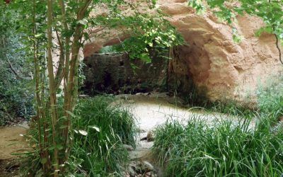 El Rodal de Sabadell (Colobrers)