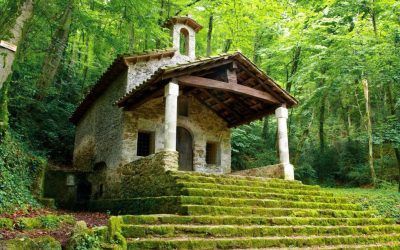 Bosc de la Tosca (Garrotxa)