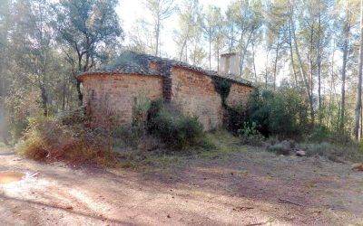 La Baliarda (Sant Feliu de Codines / Vallès Oriental)
