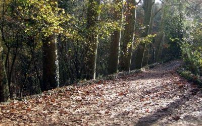 La Vall d’Olzinelles – Sant Celoni – (Vallès Oriental)