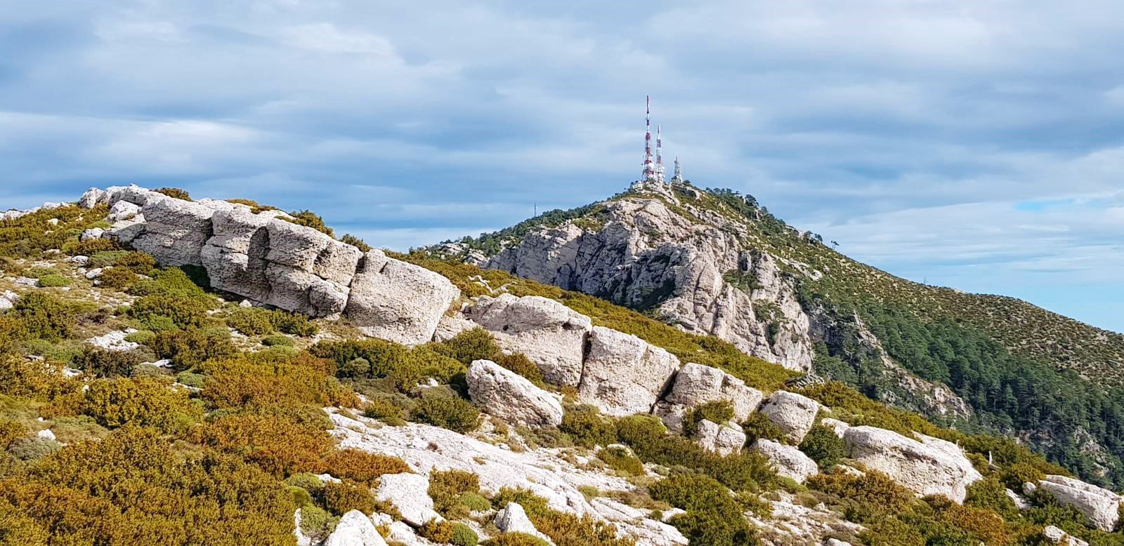 mont caro