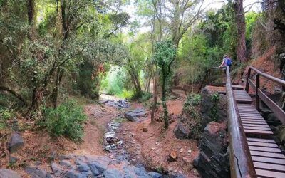 Camí del Rec al Baix Camp