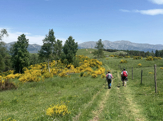 Carena Pirenaica – 15 de juny 2025